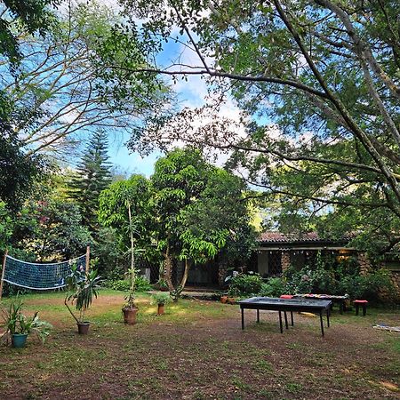 Mad Vervet Nairobi Backpackers Hostel المظهر الخارجي الصورة